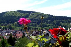 pfefferstuebchen_ausblick2
