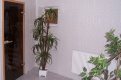 sauna_pfefferstuebchen_brotterode